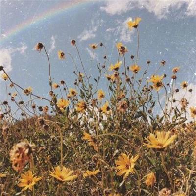 半岛彩票·中国官方网站截图