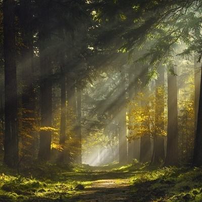 买球的app排行榜前十名推荐手机app下载