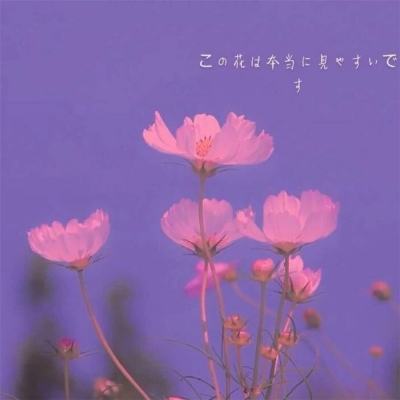 足球彩票正规app下载