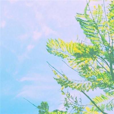 火狐官方网站app下载