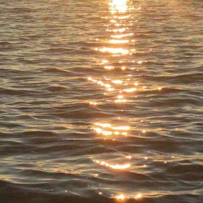 火博体育全站下载版